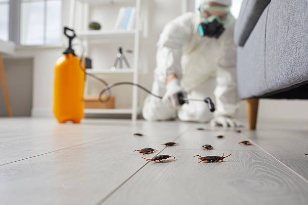 Commercial Rodent Management in Sycamore